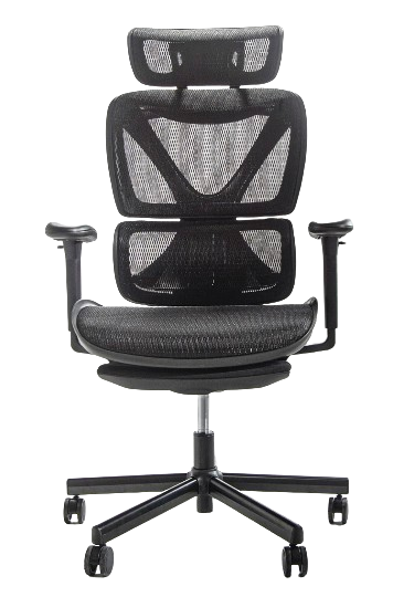 COFO chair Pro